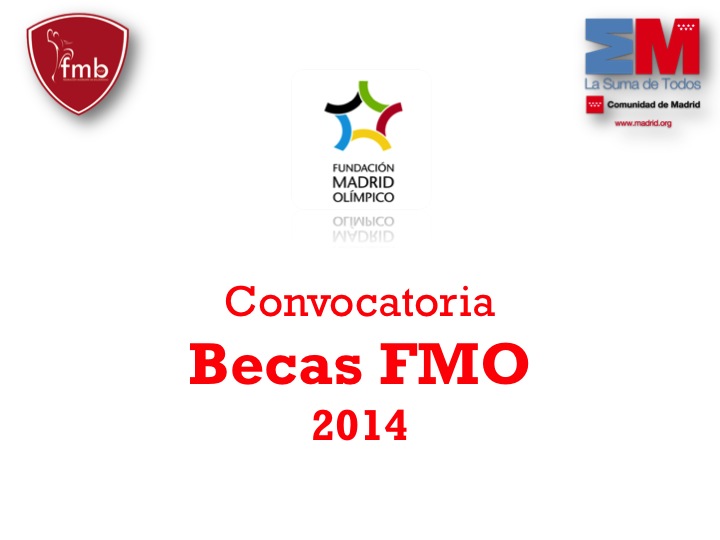 CONVOCATORIA BECAS FMO 2014