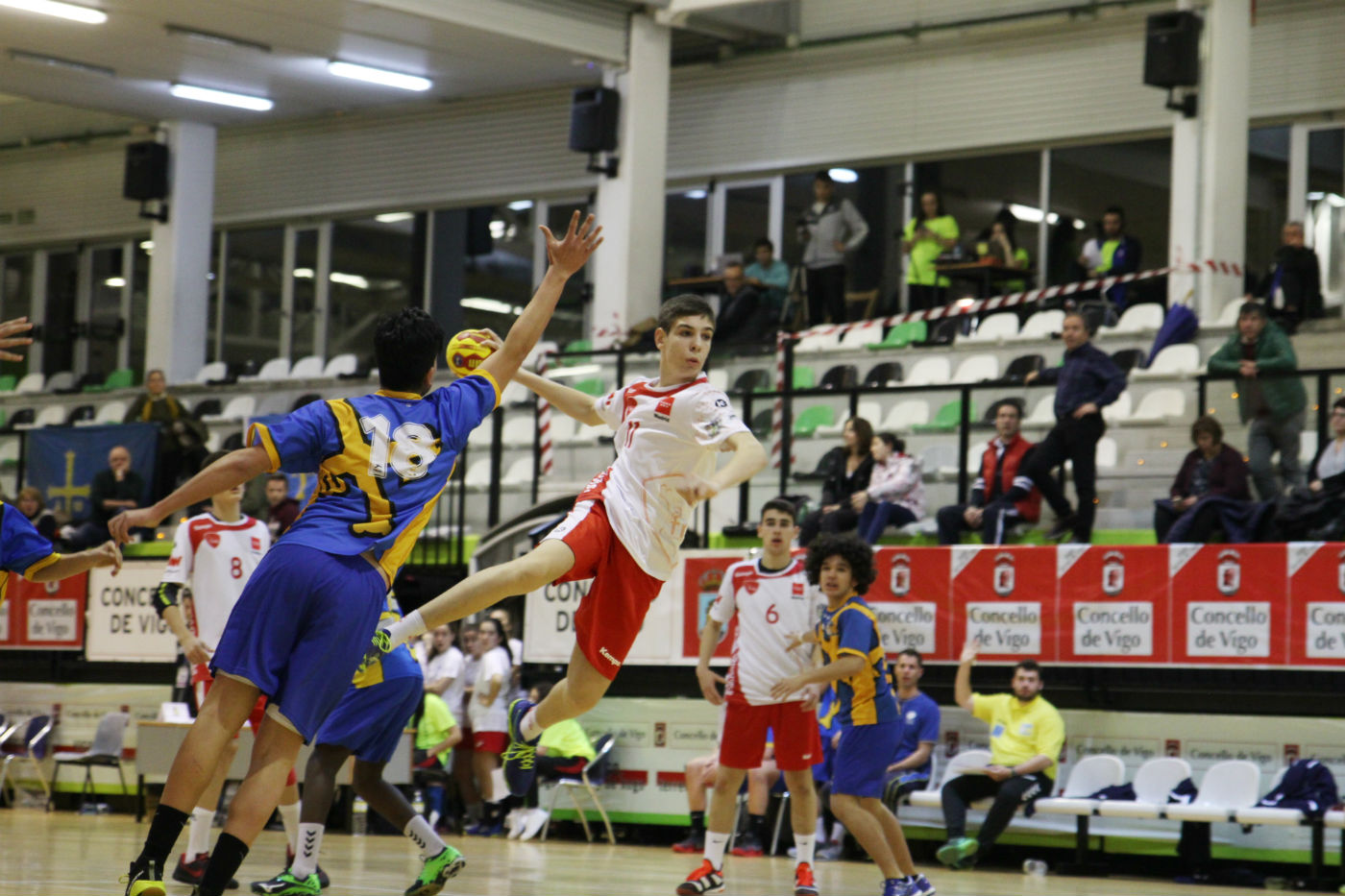 NUEVO REGLAMENTO DE LA LEY DE PROFESIONES DEPORTIVAS DE LA COMUNIDAD DE MADRID