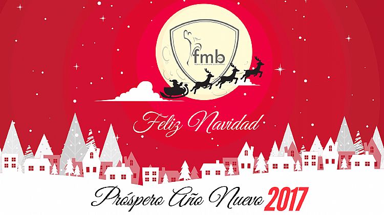 FELICITACIÓN NAVIDEÑA