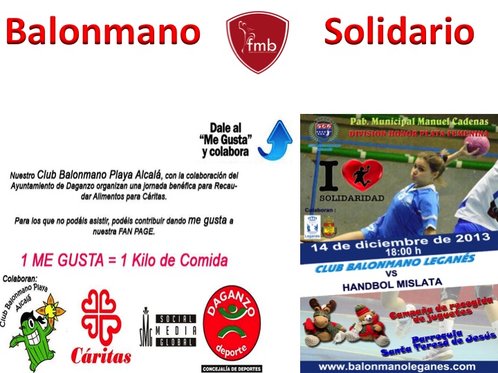 PARTIDO SOLIDARIO